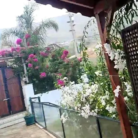 Vilă Babacim Turkiye *
